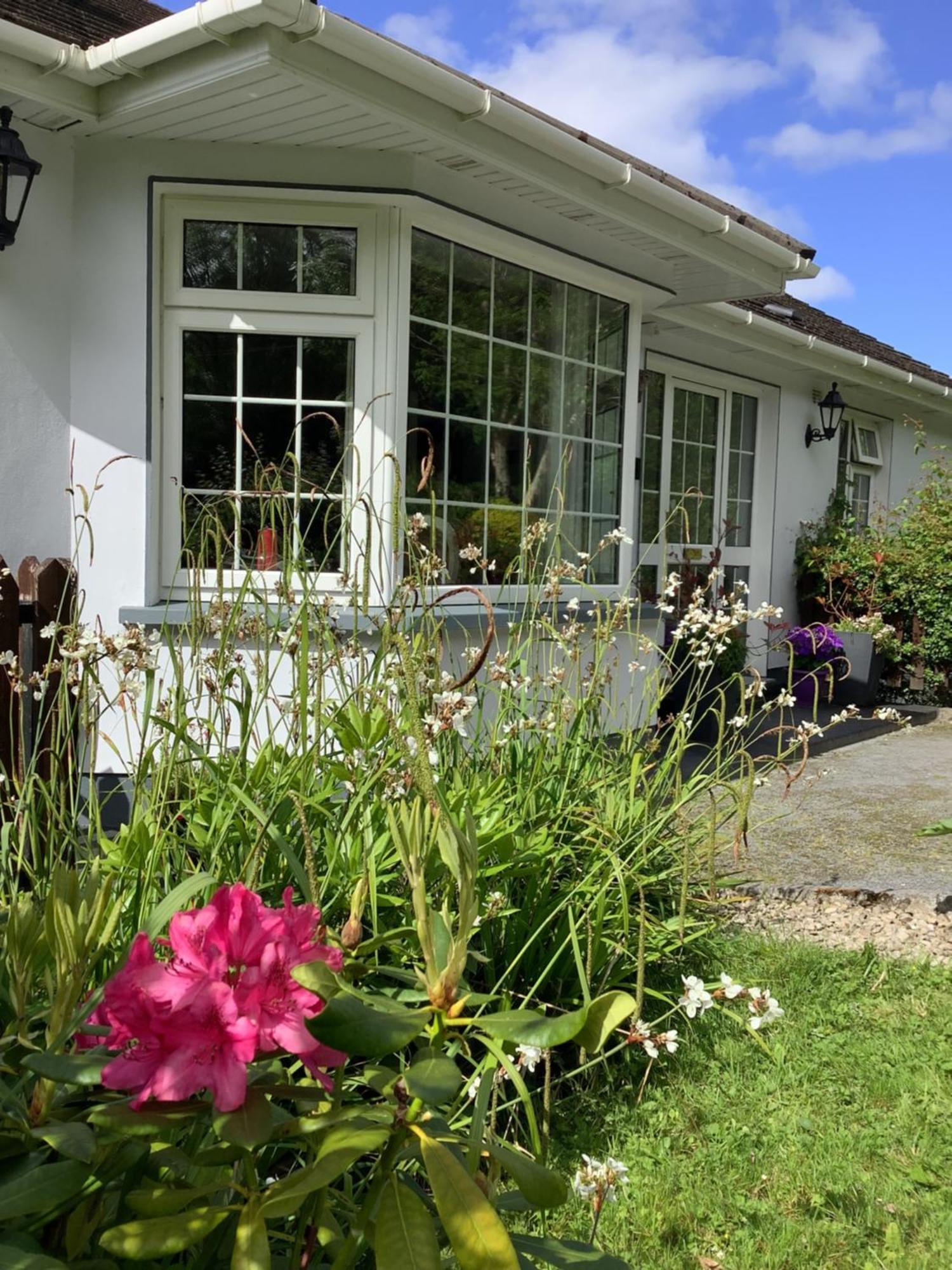 O' Sullivan'S B & B Killarney Exterior foto